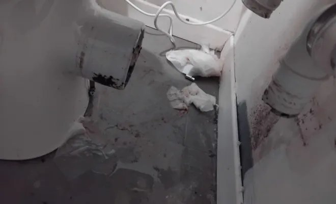 Débouchage Sanibroyeur et un WC à Vienne, Bourgoin-Jallieu, Plomb'CVC
